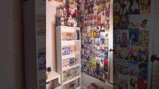 New manga bookshelf