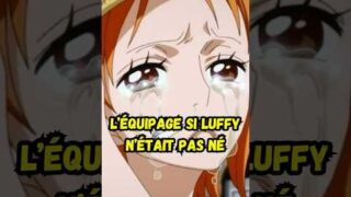 Que serait devenu l'équipage de Luffy dans one piece si luffy n'était jamais né #onepiece #anime