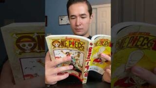 The Journey Begins! (One Piece Volume 1) #onepiece